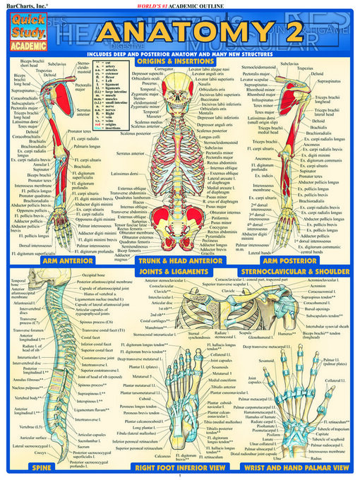 Click image to view full cover